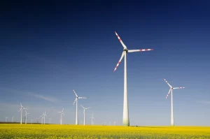 environmental responsibility guide