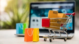 Case study analysis of successful online stores